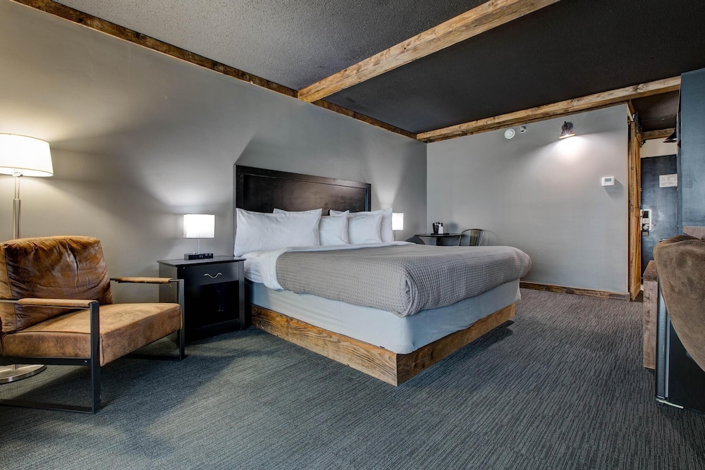 Hotel LEX Trademark Collection by Wyndham - photo 22