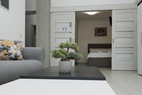 Cozy Studios in Suceava — Suceava — photo 2