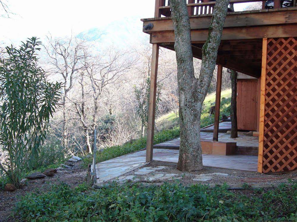 Bellevue Guesthouse - featured photo