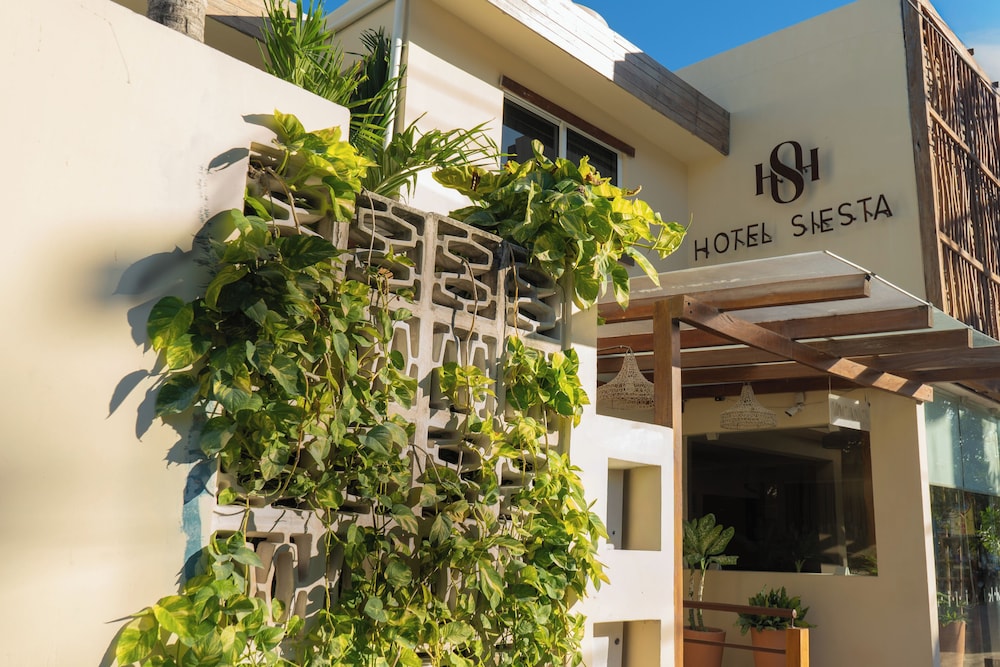 Hotel Siesta Holbox - carbon neutral hotel in Isla Holbox