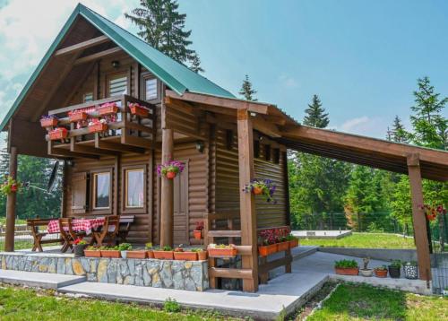 Mountain Viewpoint - carbon neutral hotel in Zabljak