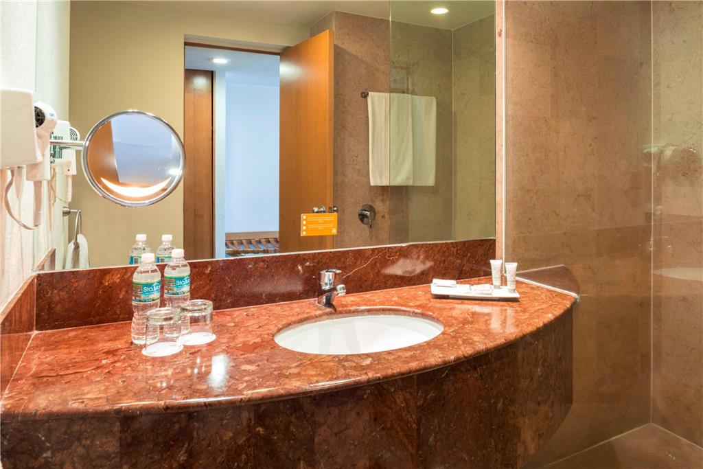 Deluxe bathroom