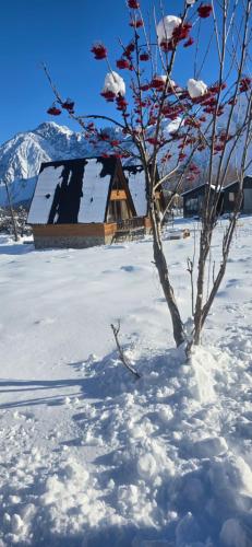 Kamara Cottages - carbon neutral hotel in Step'antsminda