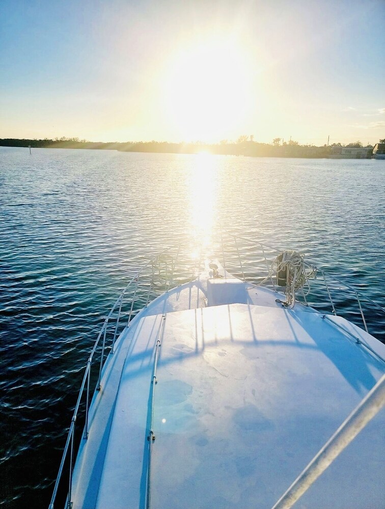 Swivel On Anchor — Bradenton — photo 5