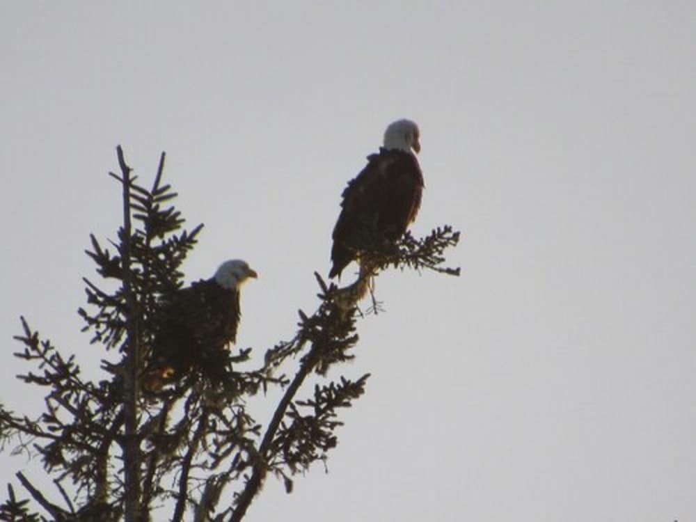 The Waldport Inn - photo 49