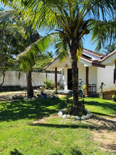 Turtles Bay - carbon neutral hotel in Unknown City