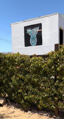 Heart of Ruta Del Vino Cozy Casitas Pan y Vino in Valle De Guadalupe, Mexico