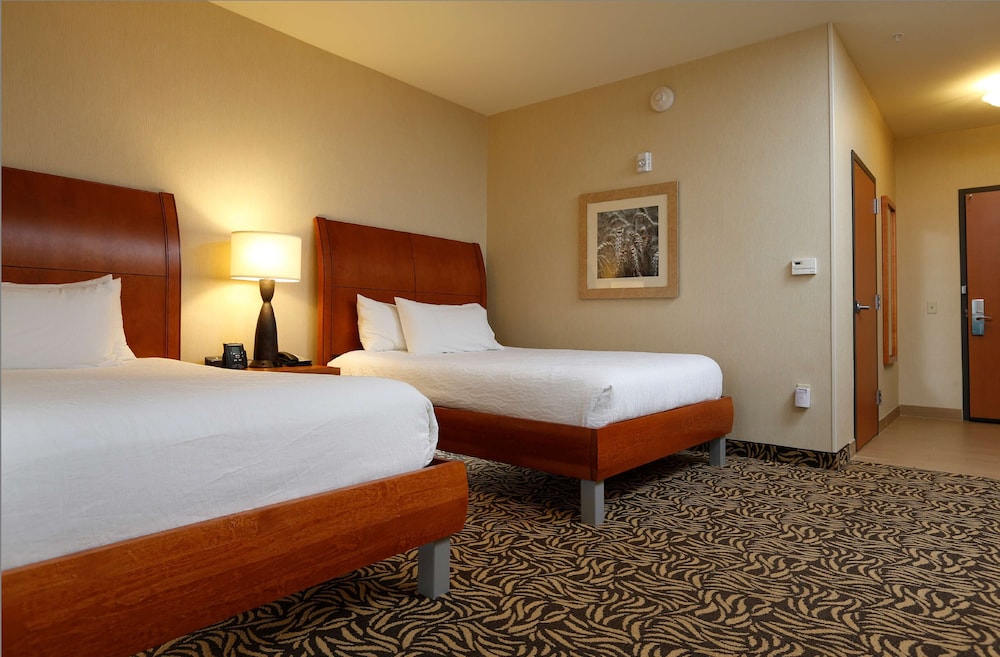 Hilton Garden Inn Cedar Falls - photo 18