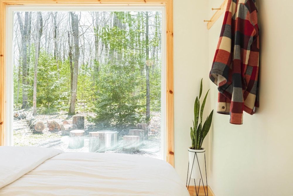 The Rex - photo 55