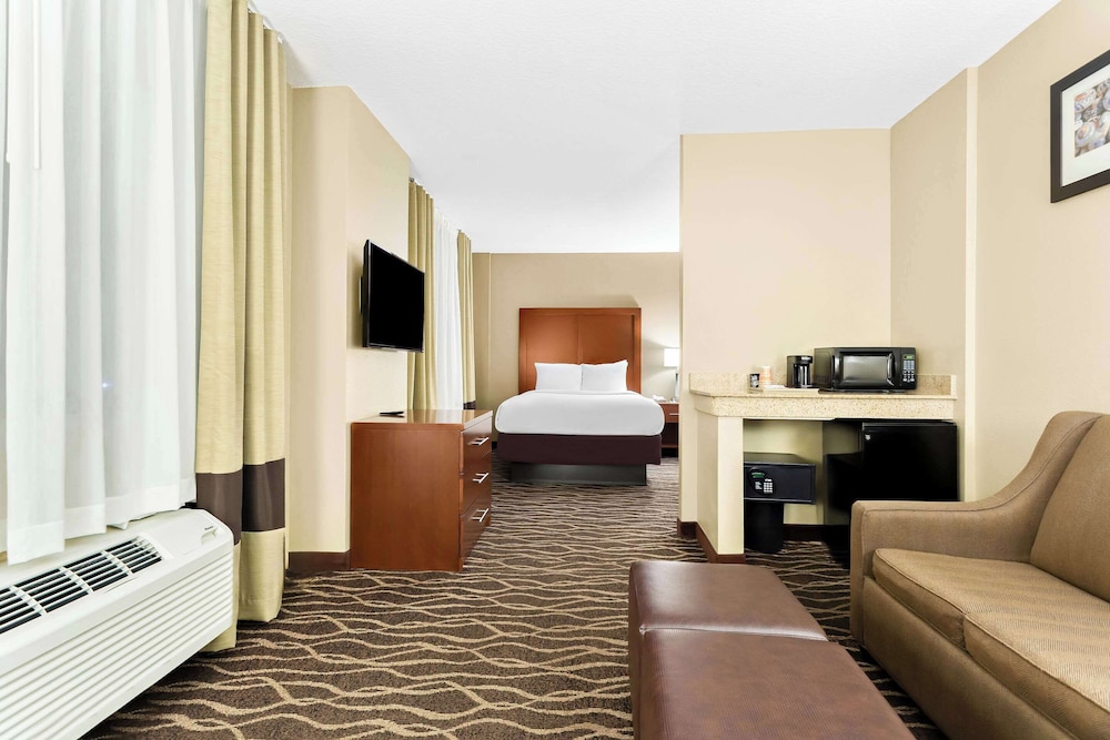 Comfort Suites Tampa Airport North - photo 9