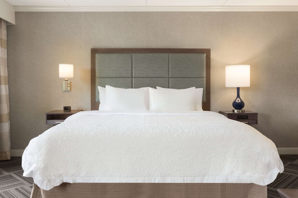Hampton Inn & Suites Manchester Bedford - photo 8