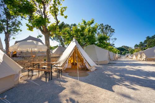 Lisboa Vida Boa 4 - carbon neutral hotel in Lisbon