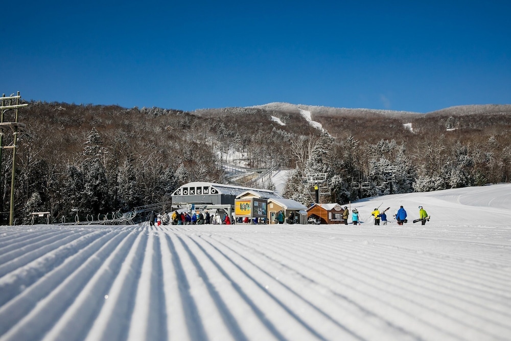 Winterplace at Okemo A Vail Resorts Property - photo 17
