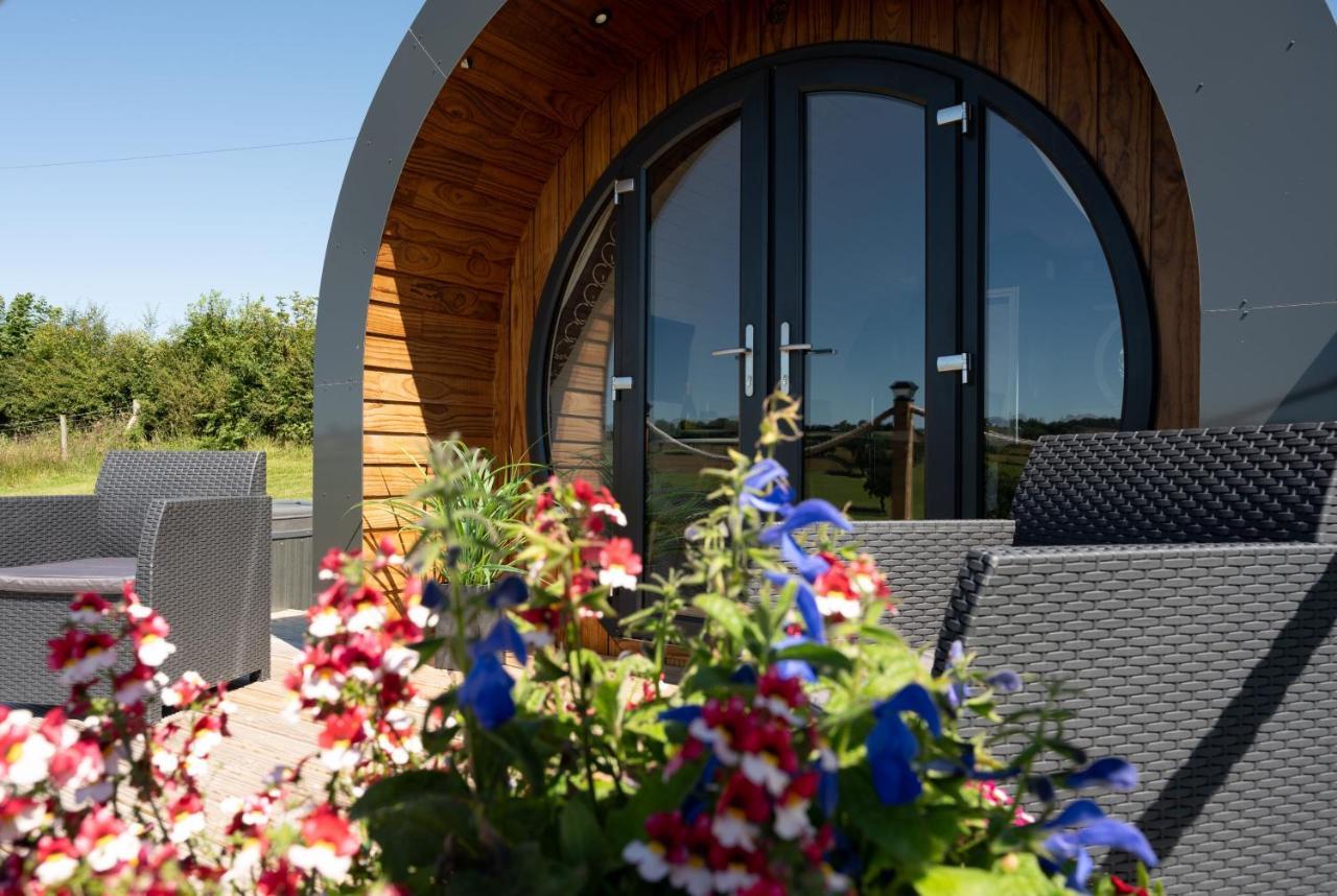 Bedwen in Welshpool, United Kingdom