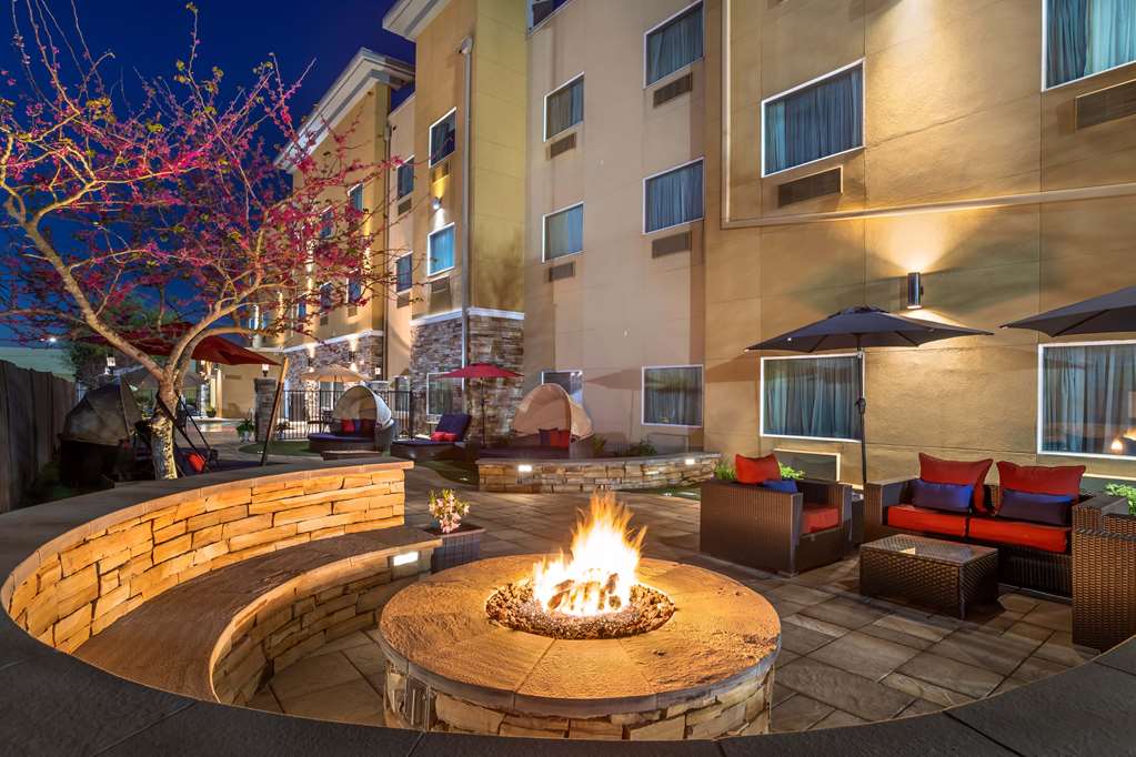 Best Western Plus Lake Jackson Inn & Suites - photo 5