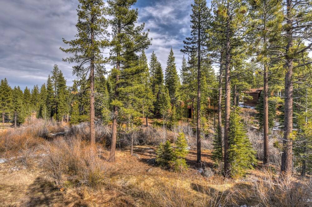 Silver Tree Sanctuary in Aspen Grove - photo 22