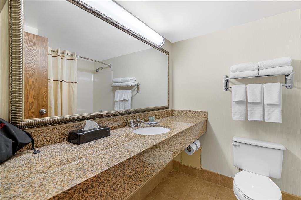 Best Western Royal Plaza Hotel & Trade Center - photo 28