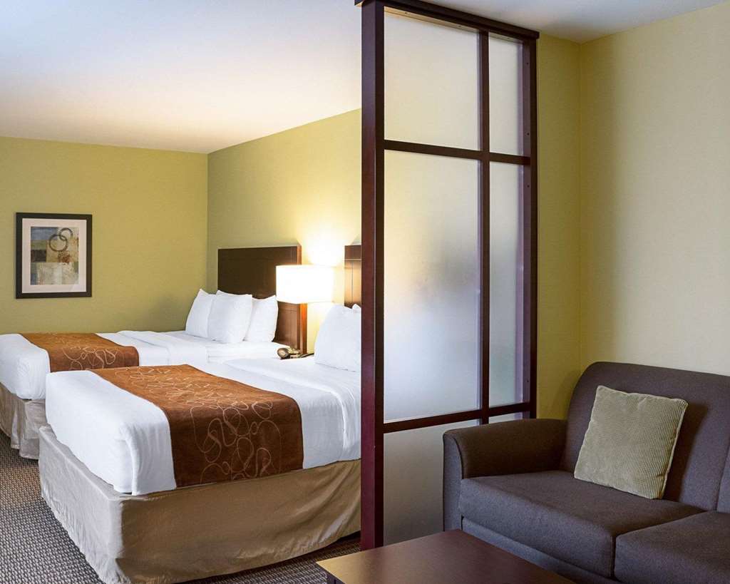 Comfort Suites Harvey New Orleans West - photo 14