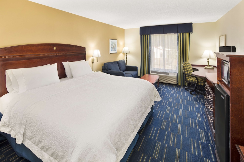 Hampton Inn Hinesville - photo 6