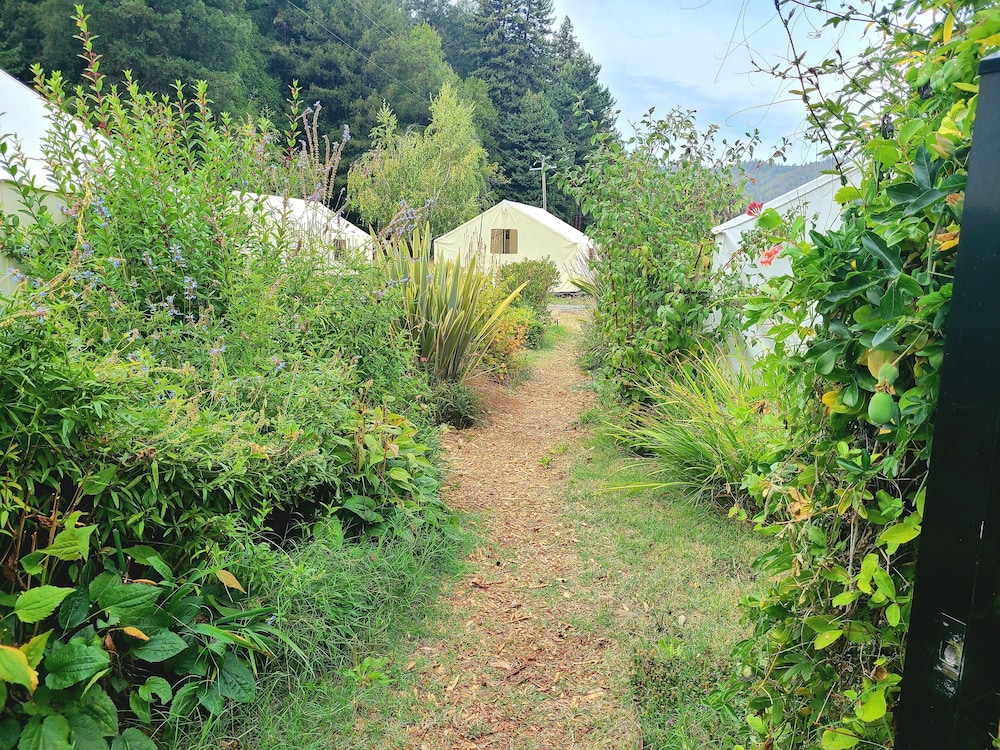 Surrey Resort - photo 22