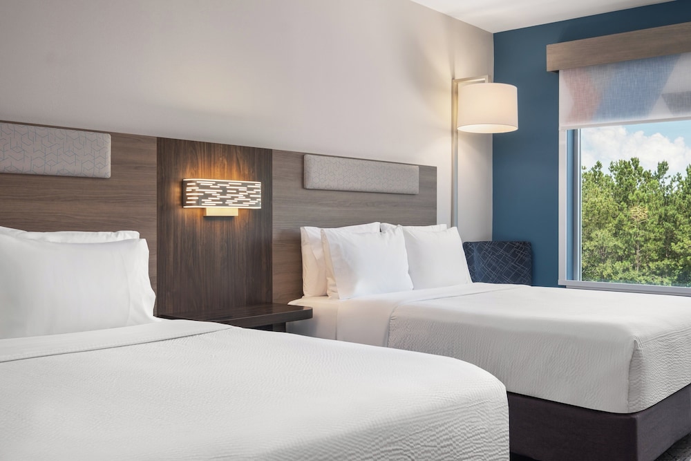 Holiday Inn Express & Suites Buford Mall of Georgia by IHG - photo 19