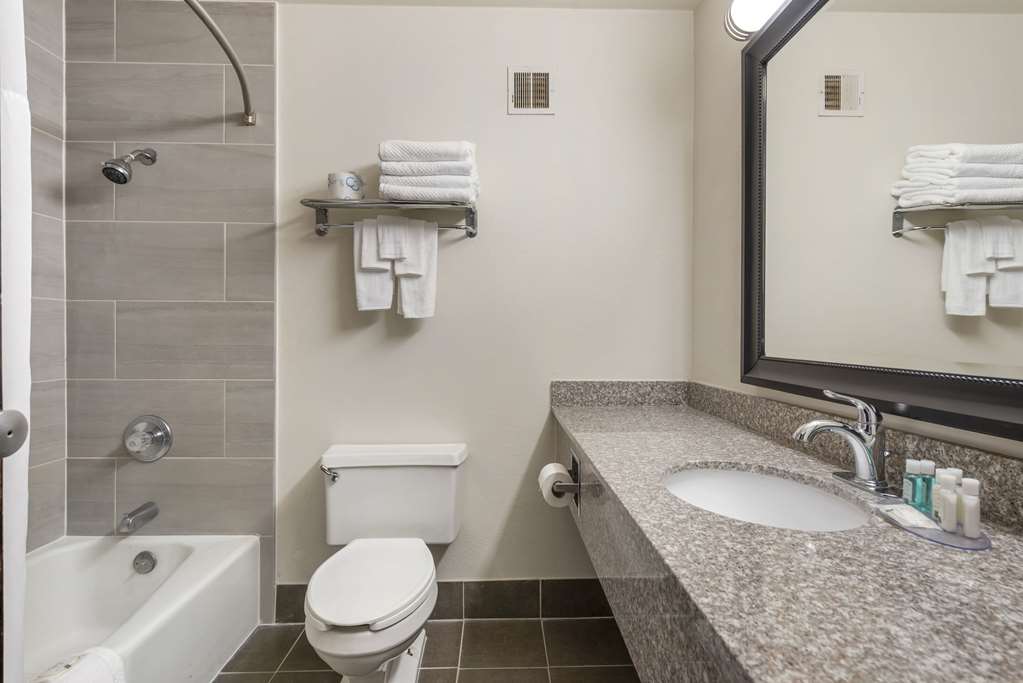 Quality Inn Alamosa - photo 10