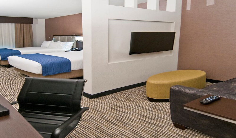 Holiday Inn Austin Airport by IHG - photo 12