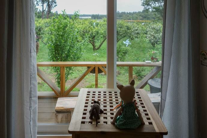Romantopia - last minute hotel in Seogwipo