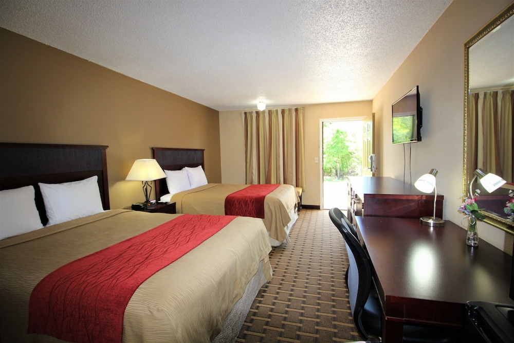 The Night Inn - photo 10