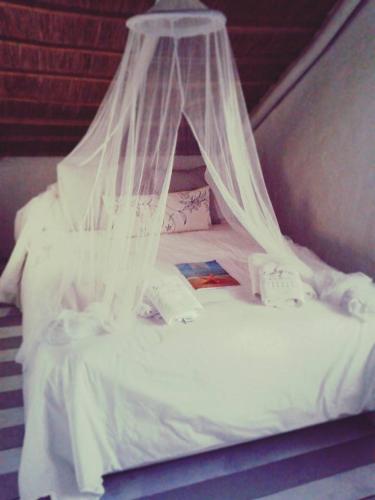 Posada Valizas — Unknown City — photo 4