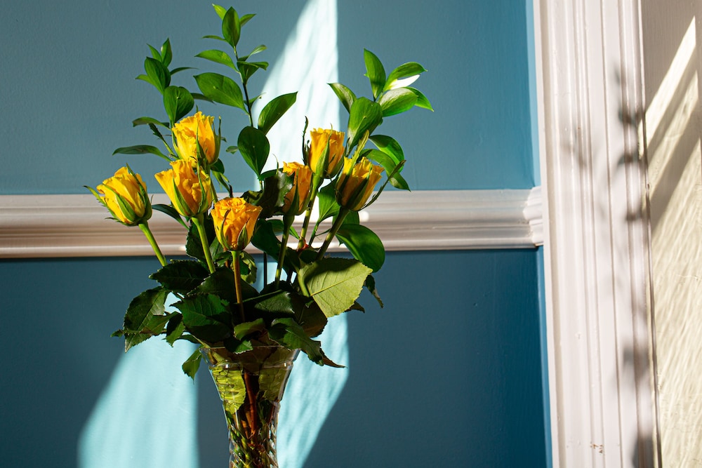 Rosemont Inn Bed & Breakfast - photo 85