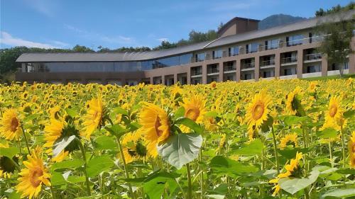Furano Hotel 富良野ホテル in Furano, Japan