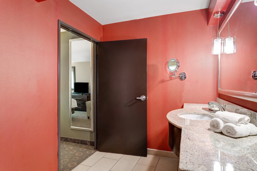 Crowne Plaza Houston Galleria Area by IHG - photo 67