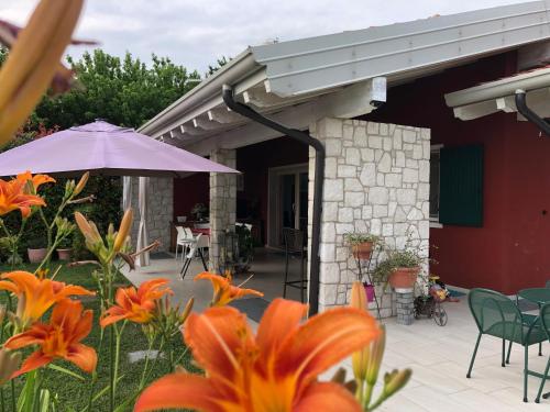 Vita sul Garda in Bardolino, Italy