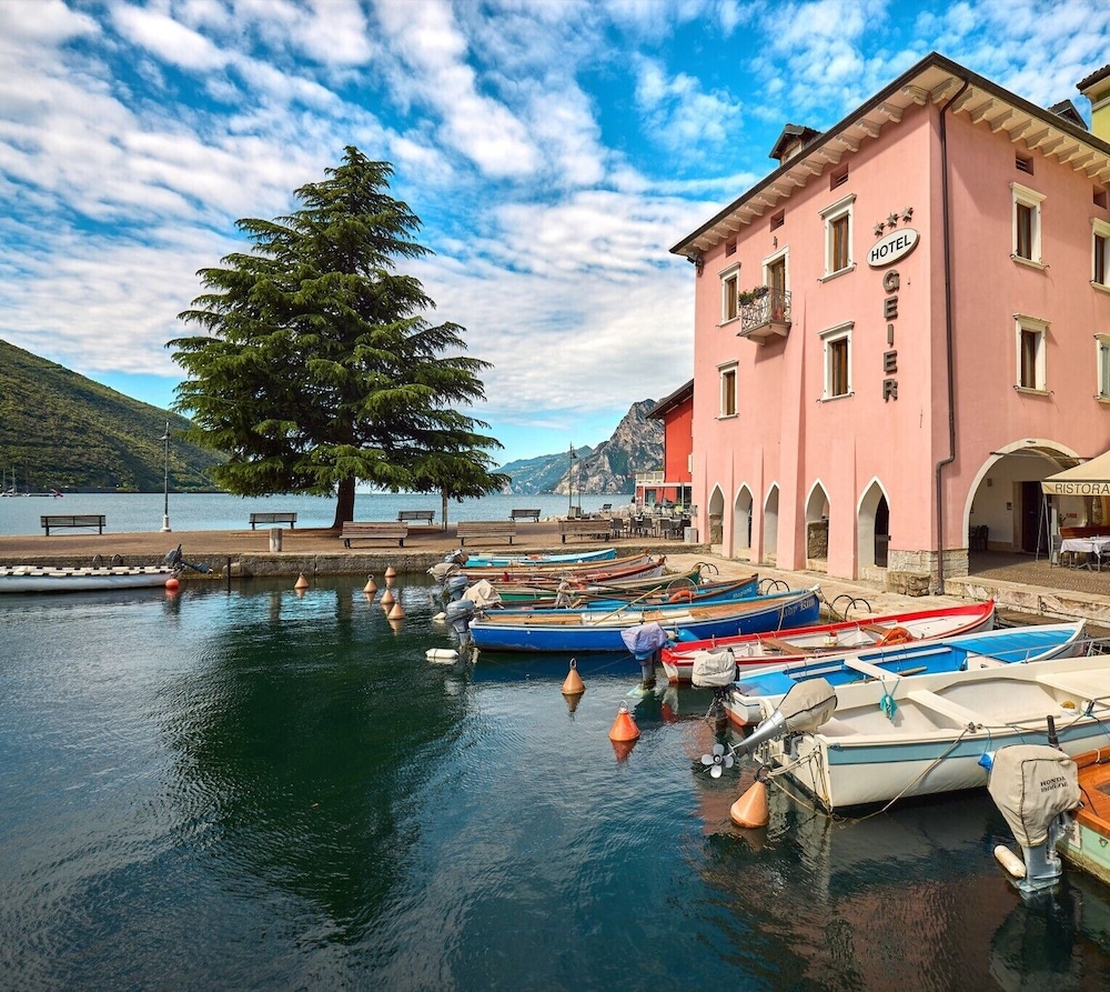 Geier in Torbole Sul Garda, Italy