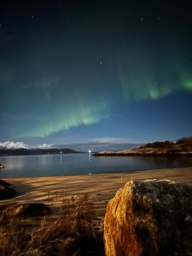 Seahouse Bodø in Bodo, Norway