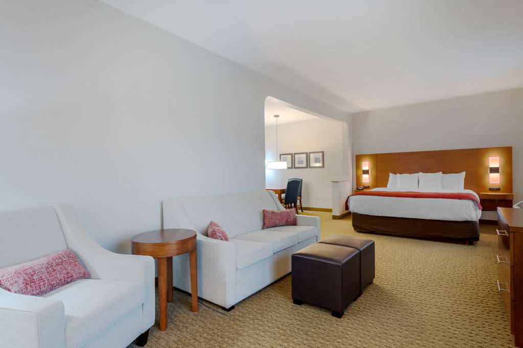 Comfort Suites La Porte Baytown - photo 31