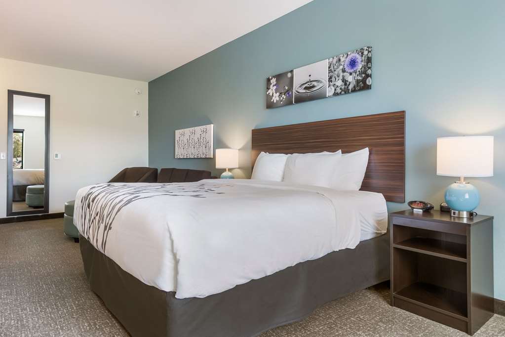 Sleep Inn & Suites Webb City - photo 14