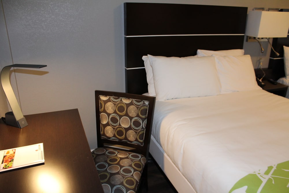 Layne Hotel - photo 13