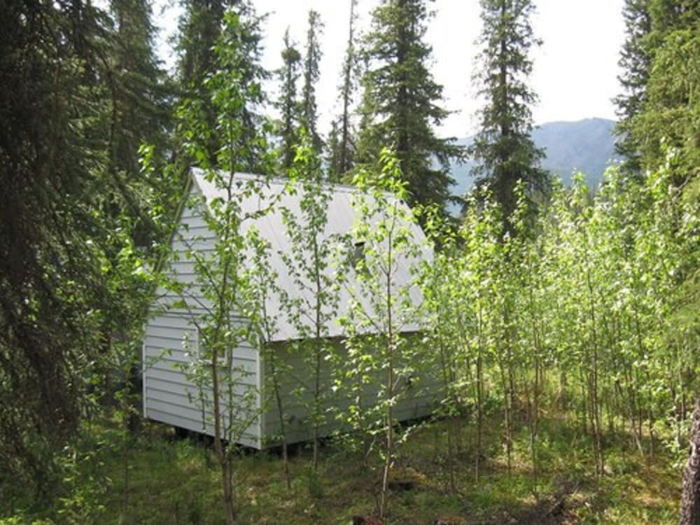 Denali Perch Resort - photo 49