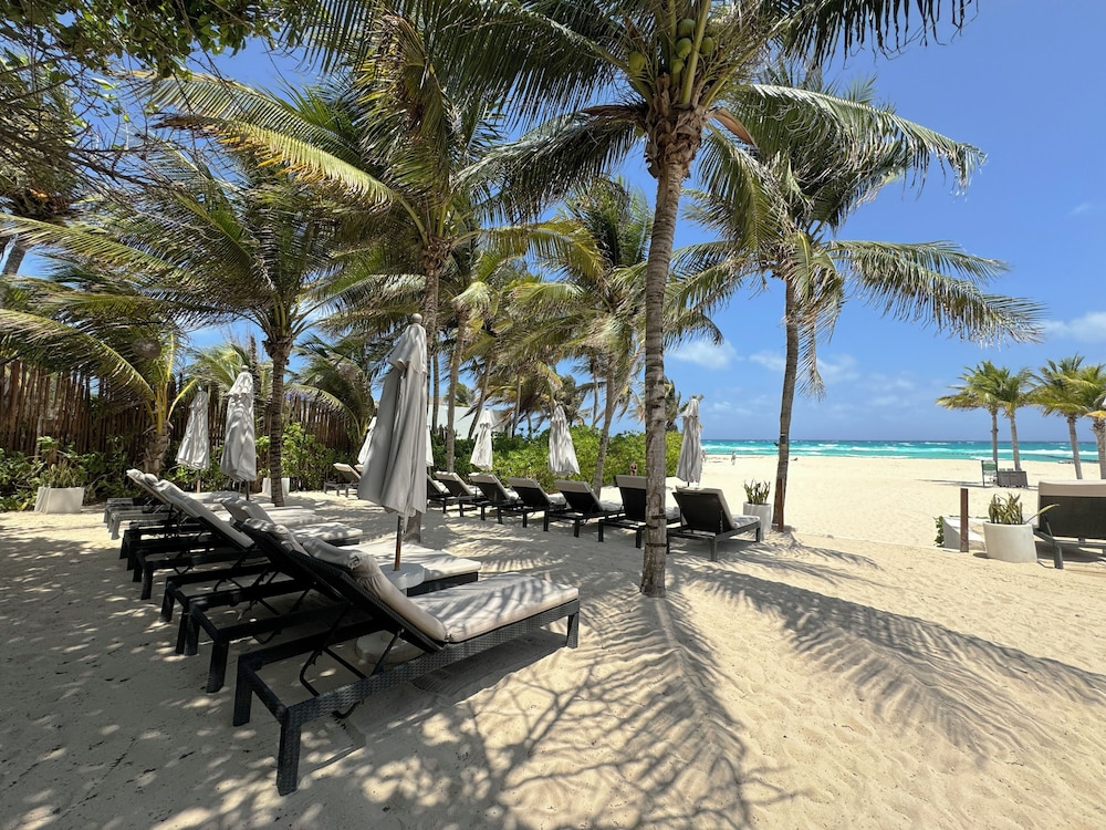 Beach bar