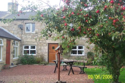 Rose & Thistle Inn in Amble, United Kingdom