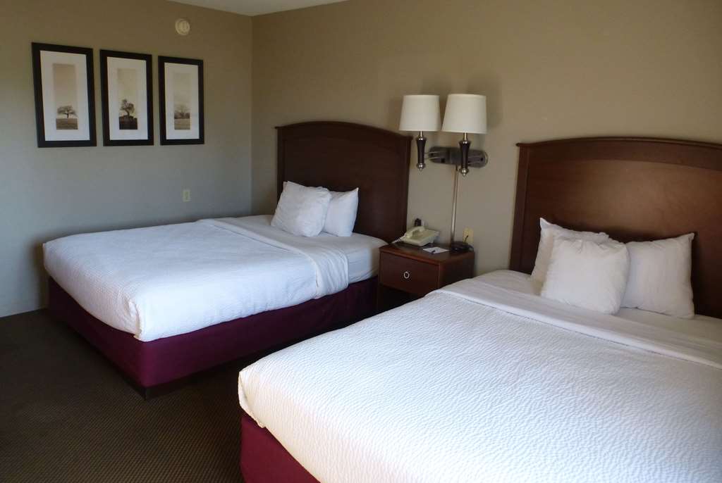 AmericInn by Wyndham Mitchell - photo 9