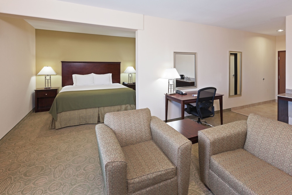 Holiday Inn Express Hotel & Suites Brownfield by IHG - photo 12