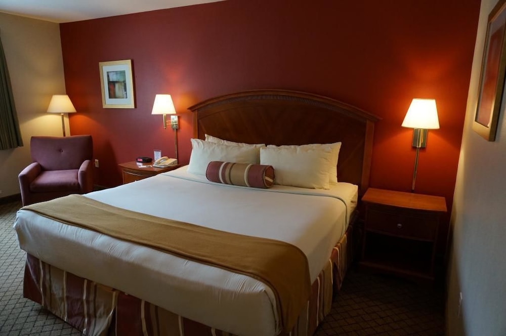 Riverside Hotel - photo 5