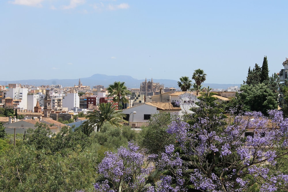 Casa Filipines — 4-Star Luxury Hotel in Palma, Spain