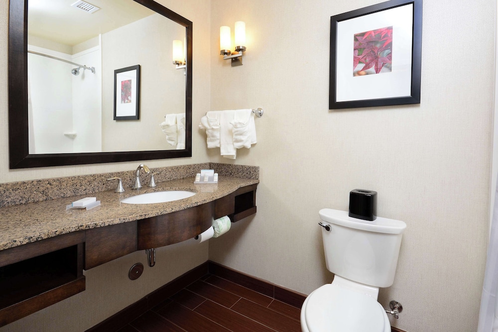 Hilton Garden Inn Greensboro Airport - photo 37