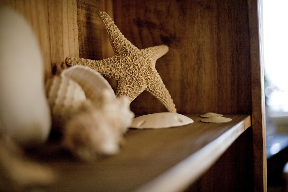 Cambria Shores Inn - photo 29