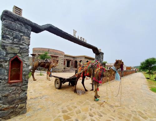 Sariska Kasba A Village Resort — Alwar — photo 5