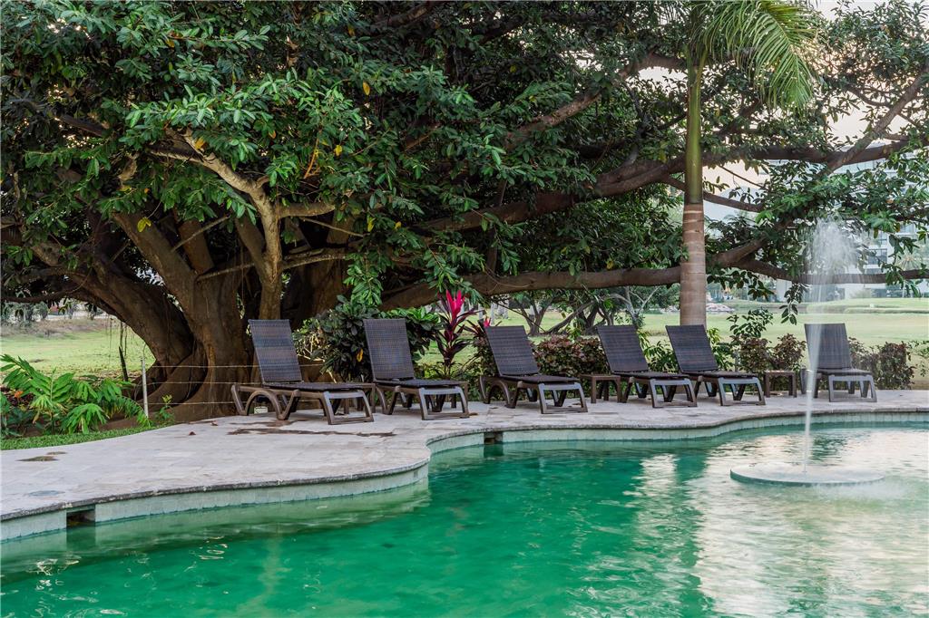 Pool view